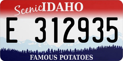 ID license plate E312935
