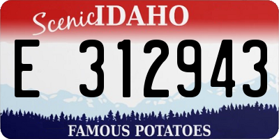 ID license plate E312943