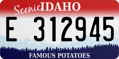 ID license plate E312945