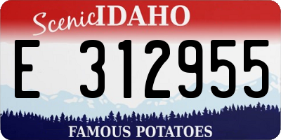ID license plate E312955