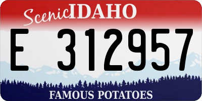 ID license plate E312957