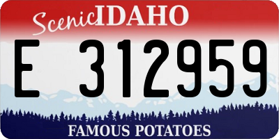 ID license plate E312959