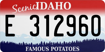 ID license plate E312960