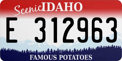 ID license plate E312963