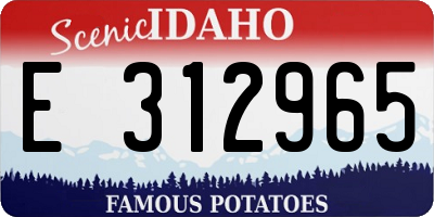 ID license plate E312965