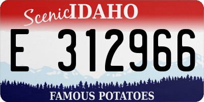 ID license plate E312966