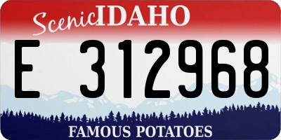 ID license plate E312968