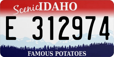 ID license plate E312974
