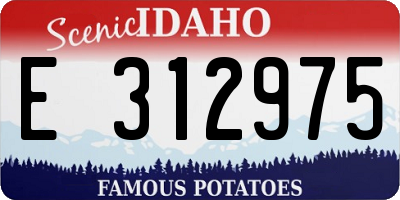 ID license plate E312975