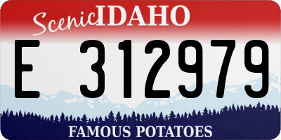 ID license plate E312979