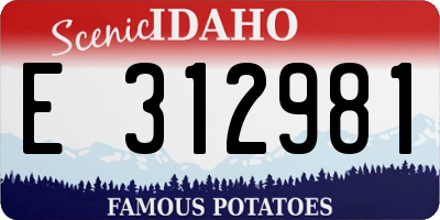 ID license plate E312981