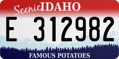 ID license plate E312982