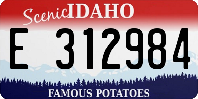 ID license plate E312984