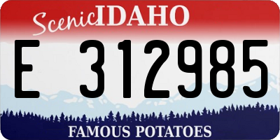 ID license plate E312985
