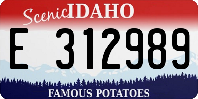 ID license plate E312989