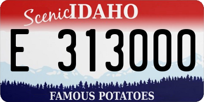 ID license plate E313000