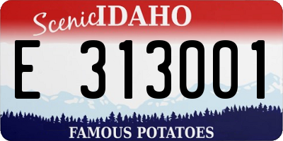 ID license plate E313001