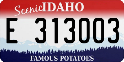ID license plate E313003
