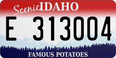 ID license plate E313004