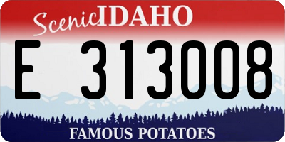 ID license plate E313008