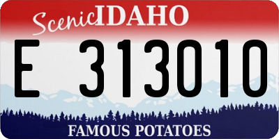 ID license plate E313010