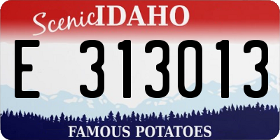 ID license plate E313013