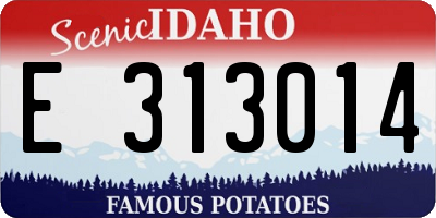 ID license plate E313014