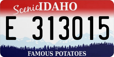 ID license plate E313015