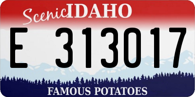 ID license plate E313017