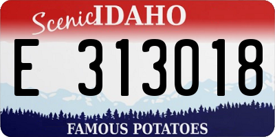 ID license plate E313018