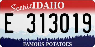 ID license plate E313019