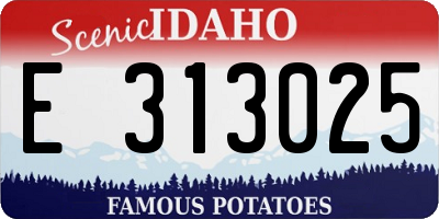 ID license plate E313025