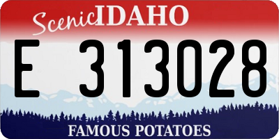 ID license plate E313028