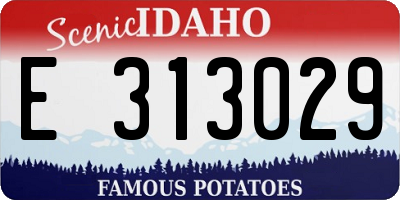 ID license plate E313029