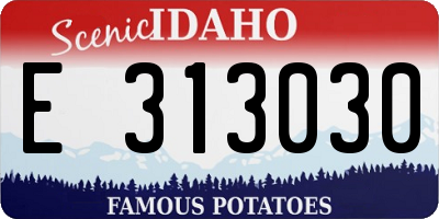 ID license plate E313030