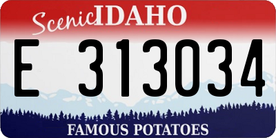 ID license plate E313034