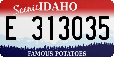 ID license plate E313035