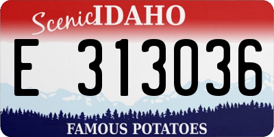 ID license plate E313036