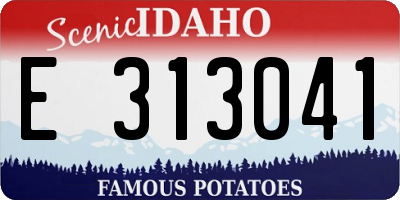 ID license plate E313041