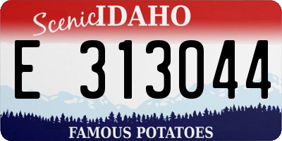 ID license plate E313044