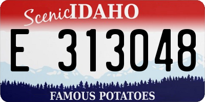 ID license plate E313048