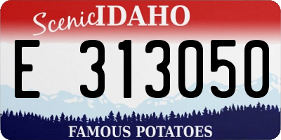 ID license plate E313050