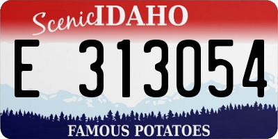 ID license plate E313054