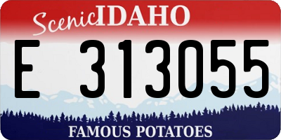 ID license plate E313055