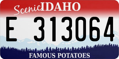 ID license plate E313064