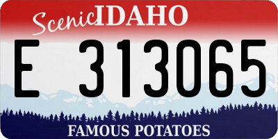 ID license plate E313065