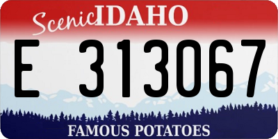 ID license plate E313067