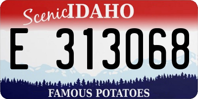 ID license plate E313068