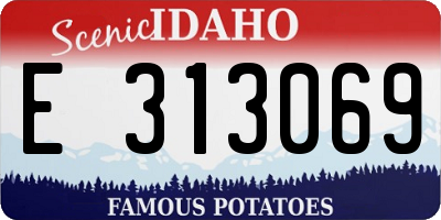 ID license plate E313069