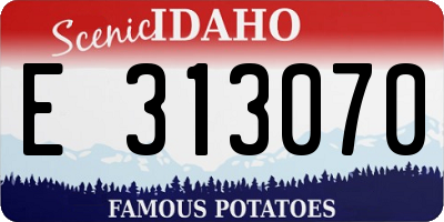 ID license plate E313070